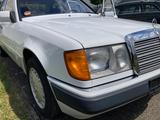 Mercedes-Benz 300 diesel W124   wenig km   einmalig!!!! - Mercedes-Benz W124 mit Diesel-Antrieb