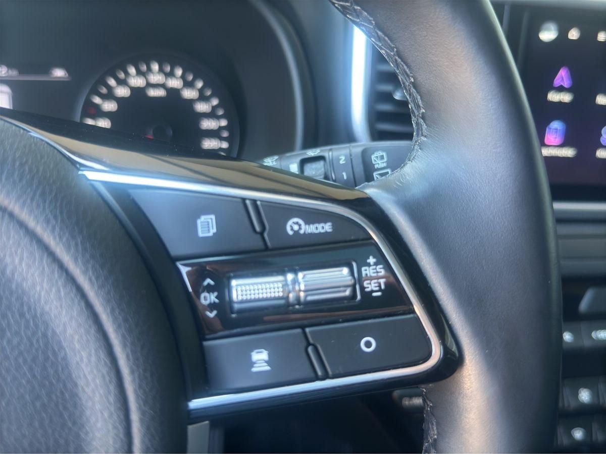 Sportage Platinum Edition 4WD PANO NAVI LED