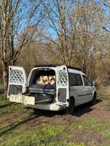 Volkswagen VW Caddy Maxi Camper - Volkswagen Caddy Maxi aus 2008