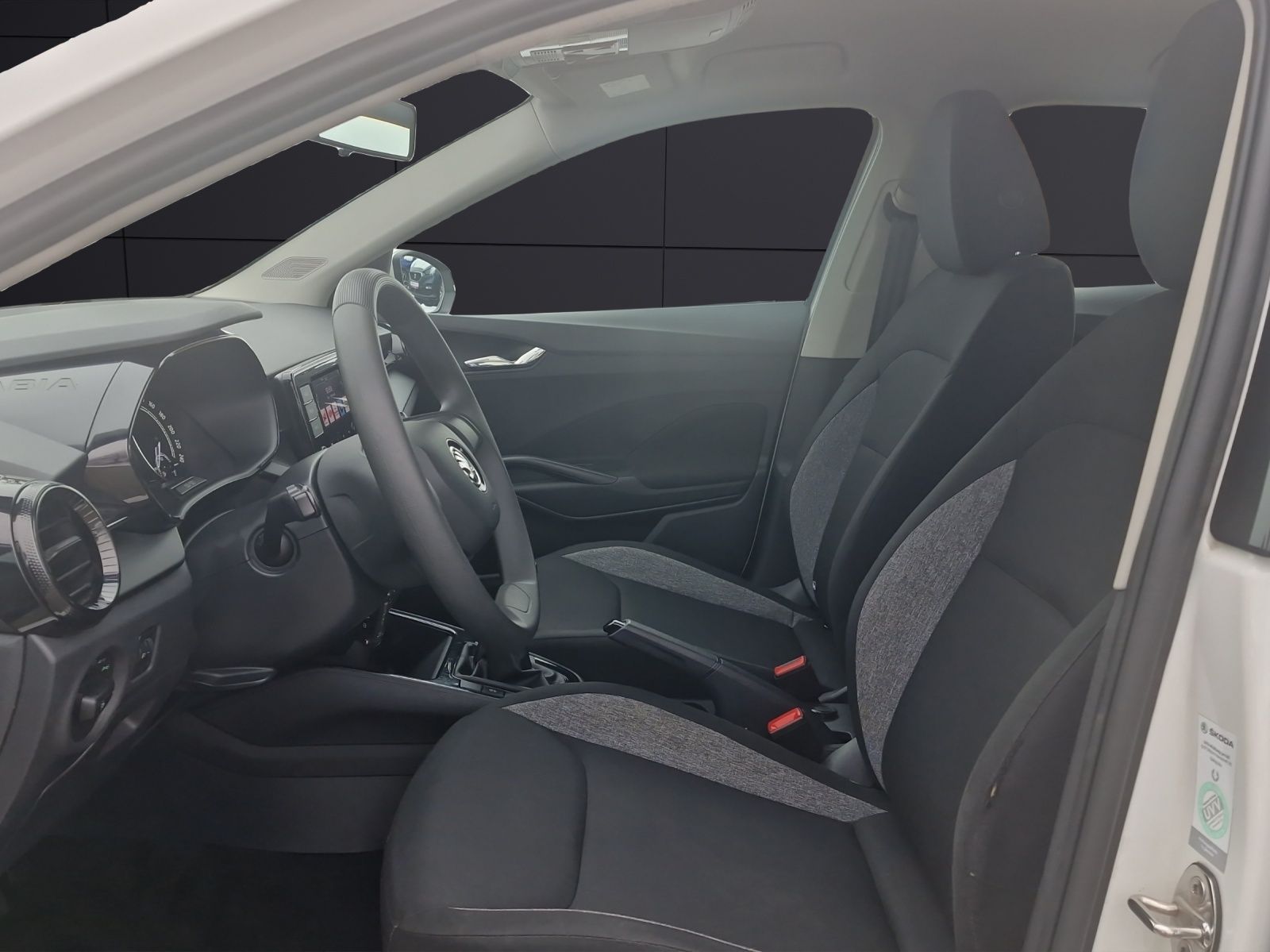 Fahrzeugabbildung SKODA Fabia Active 1.0 MPI DAB SH KLIMA