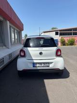 Smart  Smart ForFour /Pano - Smart ForFour von privat