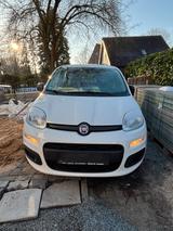 Fiat Panda Zu verkaufen - Fiat Panda Gebrauchtwagen in Hamburg