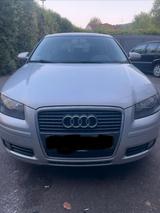 Audi A3 8P 1.6 TÜV NEU/SITZHEIZUNG/8-fach - Audi A3 mit Benzin-Antrieb: Kleinwagen, 1.8