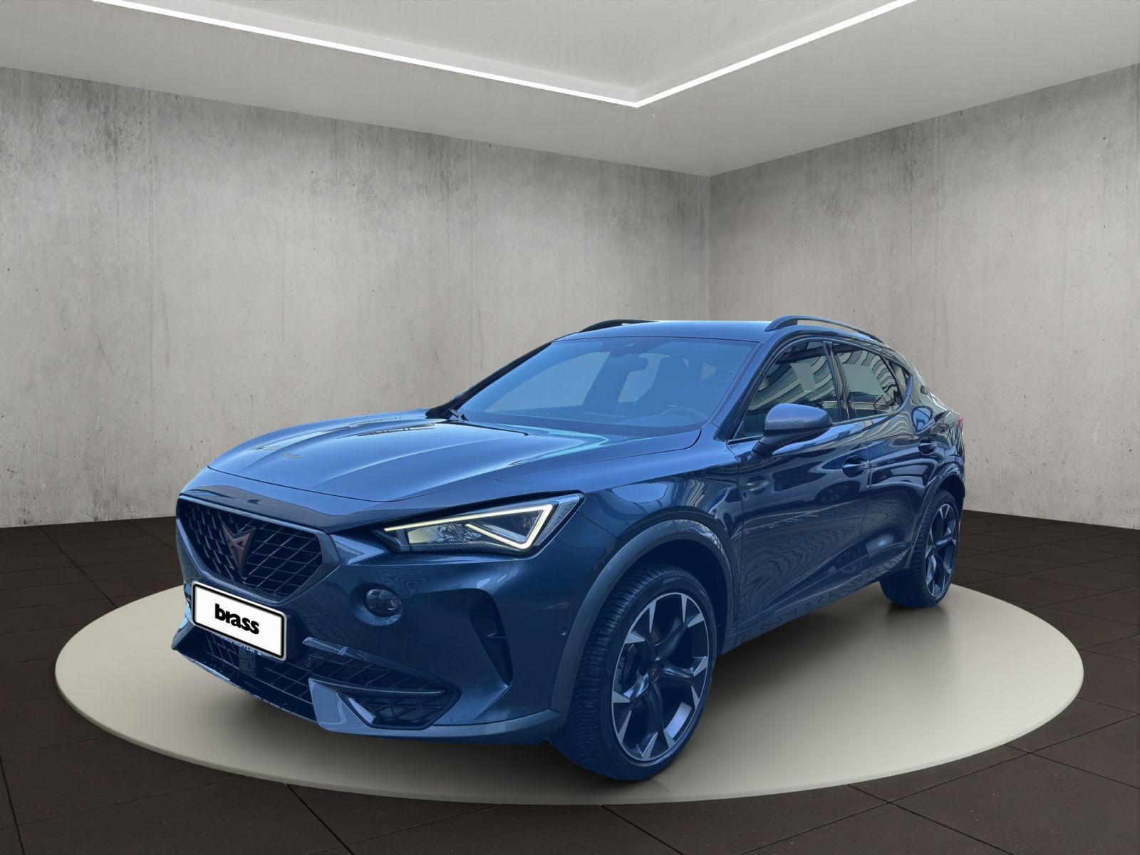 Cupra Formentor 1.5 TSI Rückfahrkamera, Navi, Sitzheiz