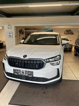 Skoda Kodiaq Selection 2.0 TDI 4x4 *AHK var.LB NAV KA - gebrauchte Skoda Kodiaq aus dem Jahr 2024