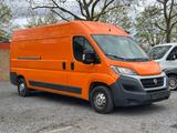 Fiat Ducato Grossr.-Kasten 35 130 L3H2 RS: 4035 mm - Fiat Ducato: L4