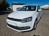 Volkswagen Polo 1.0 Comfortline NAVI.PDC VO+HI,SCHECKHEFT - Cars in Braunschweig: Kleinwagen