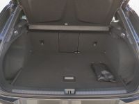 Cupra Terramar - Vorschau Bild 20