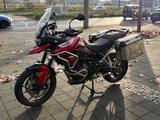 Triumph TIGER 900 GT     * MIT TOURING-AUSSTATTUNG - TRIUMPH TIGER 900 GT