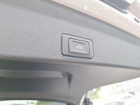 Cupra Terramar - Vorschau Bild 19
