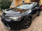 Lexus UX 250h Hybrid Auto LED Virtuell VOLL - Lexus UX aus 2022