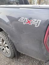 Ford Ranger Wildtrak Doppelkabine 4x4 - Ford Ranger: Wildtrak