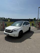 Honda CR-V 2.0 Executive Executive - Honda CR-V Gebrauchtwagen in München
