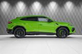 Lamborghini Urus 4.0 V8 SE GREEN/BLACK GREEN PANO B&O - Lamborghini Urus Tageszulassungen