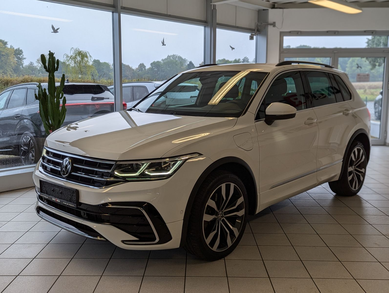 VW Tiguan R-Line eHybrid Matrix Kamera DCC ACC 20" - Image 3
