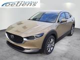 Mazda CX-30 2.5L e-SKYACTIV G 140ps Centre-line DESI H - Mazda CX-30 mit Hybrid-Antrieb: Centre Line