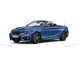 BMW 230 i Cabrio M-Paket RFK LED Lenkradheizung Komf - BMW 230: 230i