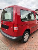 Volkswagen Caddy 1,2TSI 63kW Roncalli 5-Sitze Roncalli - Volkswagen Caddy mit Benzin-Antrieb: Kombi, 1.6