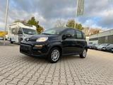 Fiat New Panda 1.0 *Klimaanlage DAB ZV mit Funk* - Fiat New Panda aus 2024