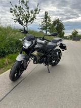 Benelli BN125_1.Hand_EZ10/25_2.390km_Garantie bis 10/27 - BENELLI BN 125
