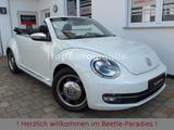 Volkswagen Beetle 1.2TSI 50"s Design Xenon Kamera Leder - VW Beetle Gebrauchtwagen in Frankfurt