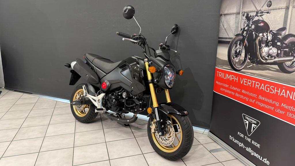 Honda MSX 125  Liebhaber Grom mit erst 5325km