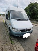 Mercedes-Benz Mercedes sprinter 313cdi Maxi - Mercedes-Benz Sprinter aus 2006: 313