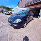Fiat Punto 1.3 Multijet Diesel  Sparsamer... - Sparsame mit Diesel-Antrieb