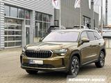 Skoda Kodiaq 2.0 TDI DSG Selection AHK NAVI KAMERA LED - Skoda Gebrauchtwagen in Bremerhaven