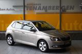 Skoda Fabia Ambition Klima Tempomat Bluetooth - Skoda Fabia: Beige, Metallic