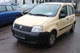 Fiat Panda 1.1 8V Active - Fiat Panda in Oldenburg