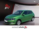 Skoda Fabia 1,2 TSI Style Klima Sitzheizung - Skoda Fabia: Grün