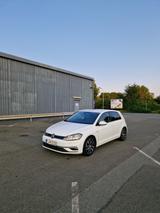 Volkswagen Golf 1.5 TSI BlueMotion Comfortline