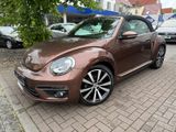 Volkswagen Beetle Cabriolet BMT/XENON/KAMERA/LEDER/NAVI - : Braun, Cabrio