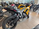 Triumph Daytona 660 sofort verfügbar - TRIUMPH DAYTONA
