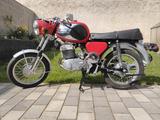 Mz TS 250 - MZ TS 250