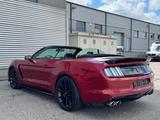 Ford Mustang 2.3 EcoBoost auto, Shelby GT350 optic - Ford: Shelby