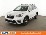 Subaru Forester 2.0 Platinum - Subaru Forester in Essen