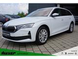 Skoda Octavia Combi 2.0 TDI Selection DSG Navi ACC Mat - Skoda Octavia: Selection