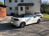 Volkswagen Golf Cabrio Lounge | 1.4 TSI 150 PS | 1. Hand - Volkswagen Golf: Cabrio, Golf4