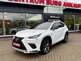 Lexus NX 300H Leder AHK Panorama HUD - Lexus NX 300: H