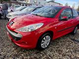 Peugeot 206 + Basis - Peugeot 206: Rot