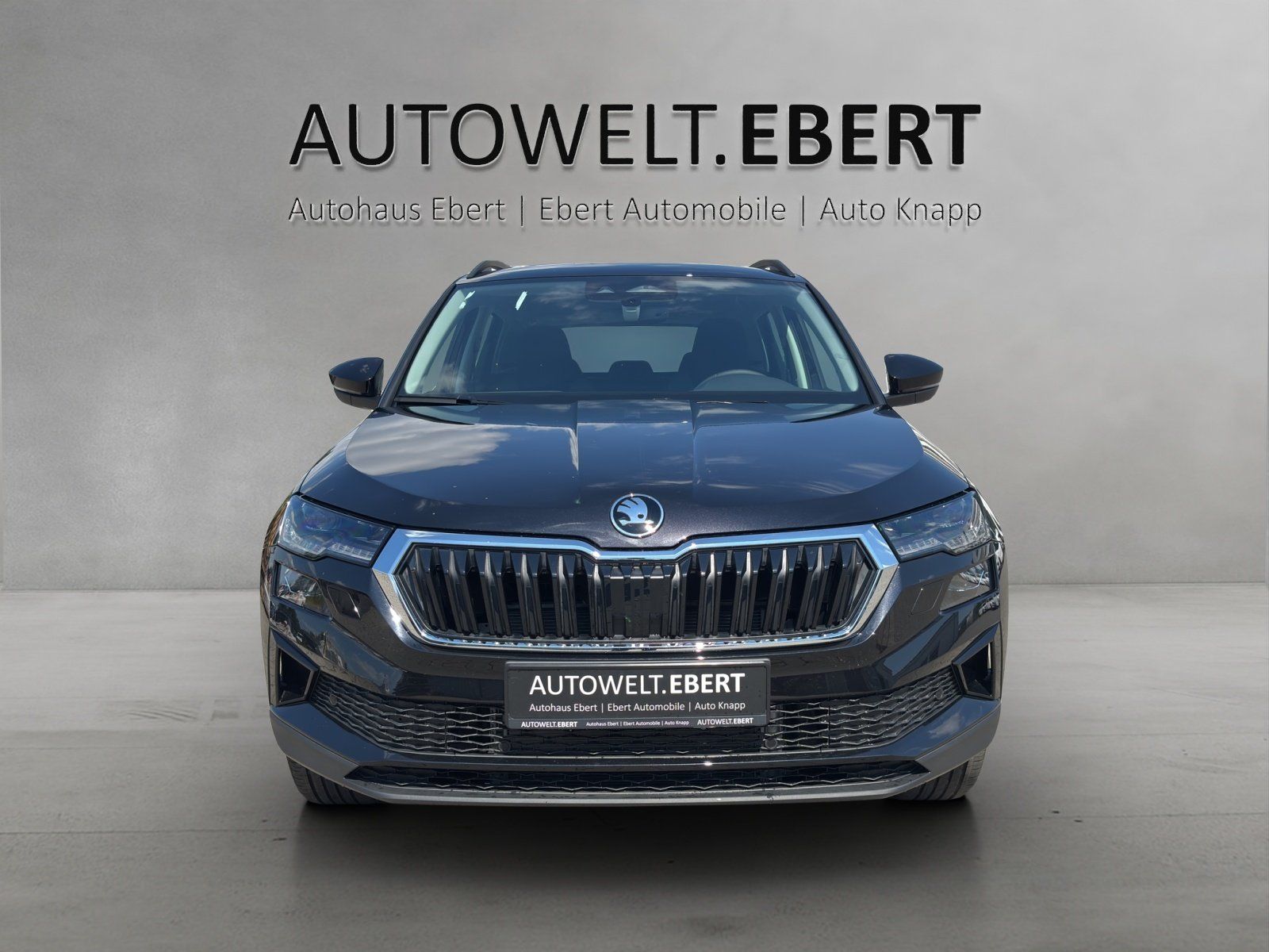 Fahrzeugabbildung SKODA Karoq Balance 1,5 TSI 110 kW DSG MATRIX/RFK/AHK