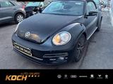 Volkswagen Beetle Cabriolet 1.2TSI Sound - Volkswagen Beetle: Cabrio
