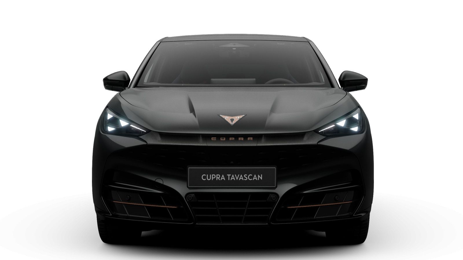 Cupra Tavascan Endurance 77 kWh imagem 3