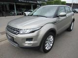Land Rover Range Rover Evoque 2.2D 2WD-Leder-Pano-Meridian- - Land Rover: Beige