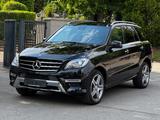 Mercedes-Benz ML 350 CDI BlueTec 4Matic AMG Sportpaket /Panora