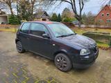 Seat Arosa TÜV NEU - gebrauchte Seat Alhambra aus dem Jahr 2004