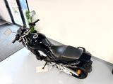 Suzuki GSF 1200 N Bandit nur 36.500 km! - SUZUKI GSF 1200 BANDIT