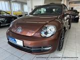 Volkswagen Beetle Cabriolet 1.4 Aut - nur 52 tkm - KAM NAVI - Volkswagen Beetle: Cabrio